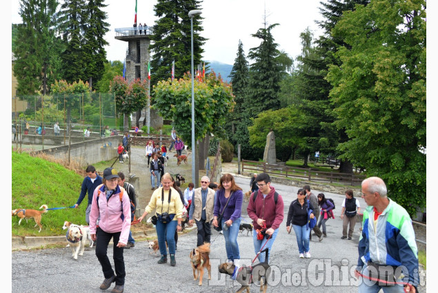 Prarostino &quot;zampettando&quot; in paese