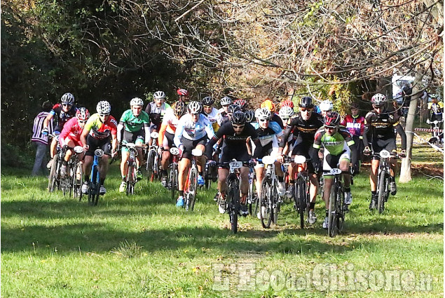 Bruino: ciclocross