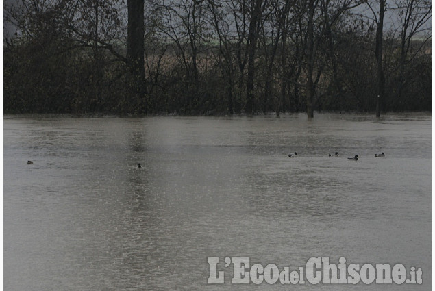 Allerta meteo: gli scatti da Revello