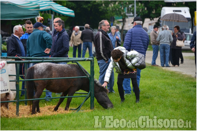 Pinerolo : Fiera di Aprile