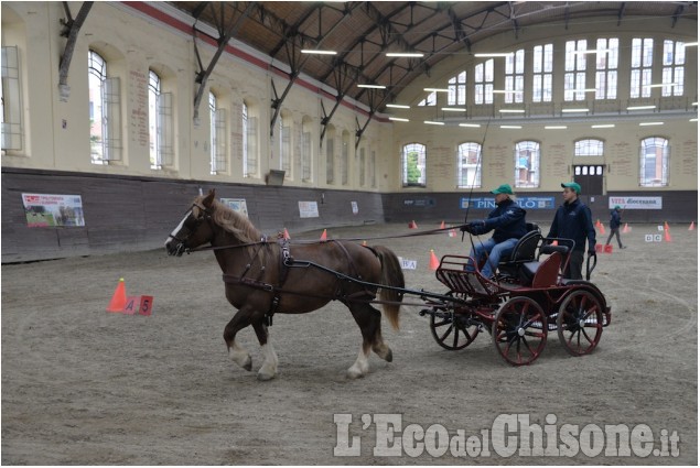 Pinerolo al Caprilli in carrozza