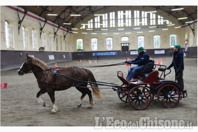 Pinerolo al Caprilli in carrozza