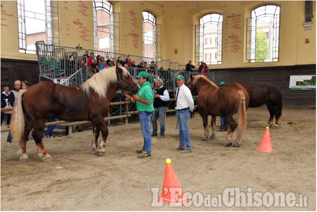 Pinerolo al Caprilli in carrozza