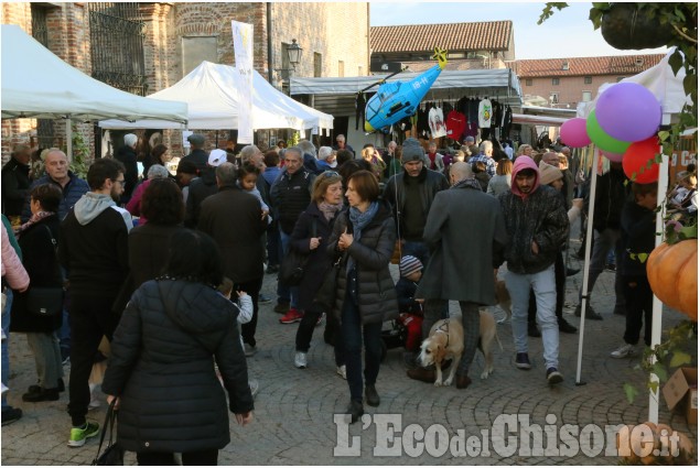 Virle: successo alla fiera del nespolo germanico e della zucca