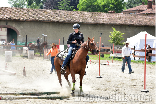 Pinerolo:Campionato regionale Gimkana western & english 2023