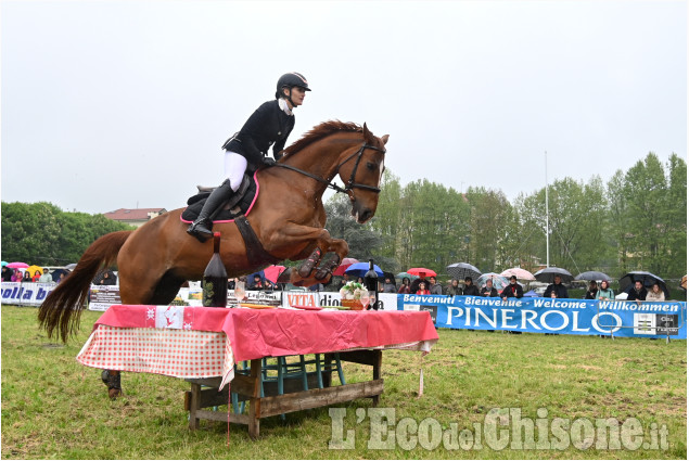 Pinerolo per la fiera di Primavera " Pinerolo in Sella"