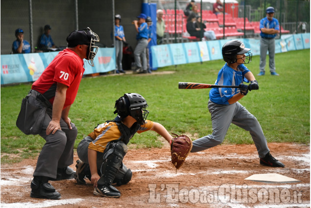 Pinerolo: Baseball, Torneo delle Regioni