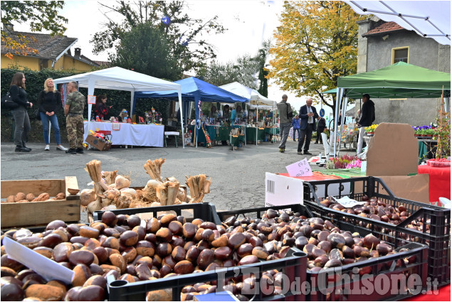 Pinerolo: La castagnata a Costagrande