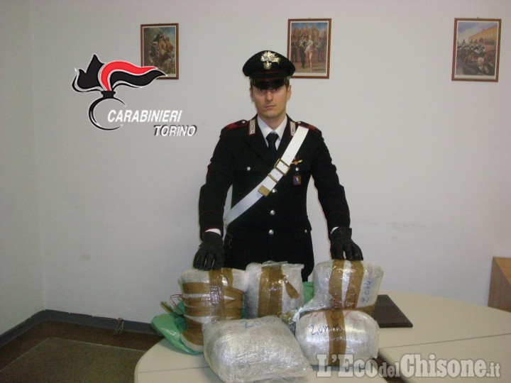 Traffico di droga a S. Germano: arrestato per 11 kg di marijuana in cantina