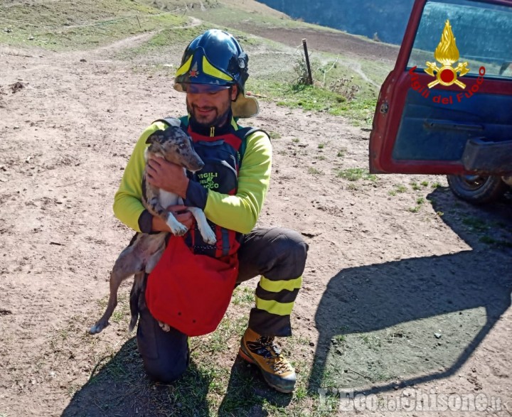 Fenestrelle: cane bloccato in un dirupo, salvato dai Vigili del fuoco