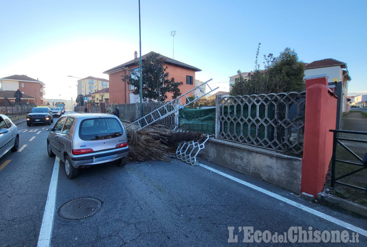 Orbassano: cade dalla scala mentre taglia l'albero, ferito pensionato