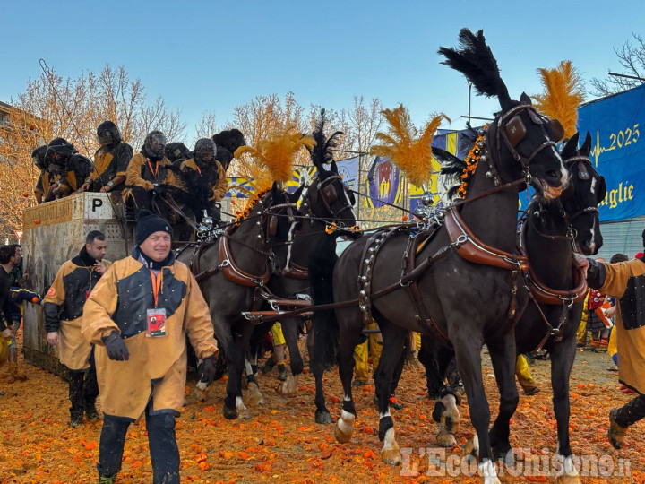 Carnevale storico di Ivrea: primo premio al carro con Italo Bianciotto e i suoi cavalli