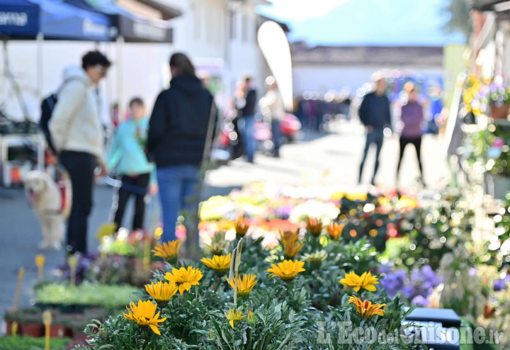 Pragelato: fiera di Ferragosto, serata danzante e mercatini