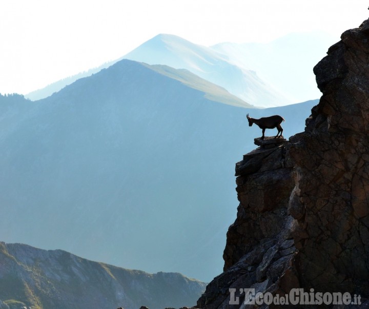 Godersi il panorama in punta alla Cristalliera di Dragos Eugen Strungariu