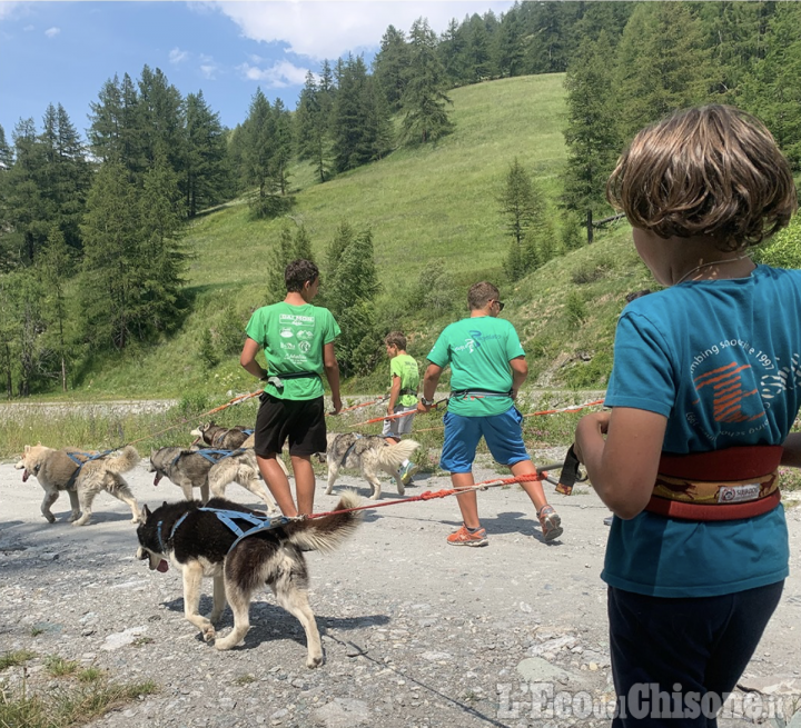 Dog Trekking e altre attività insieme ai Siberian Huskies del Il Team The Husky Experience 