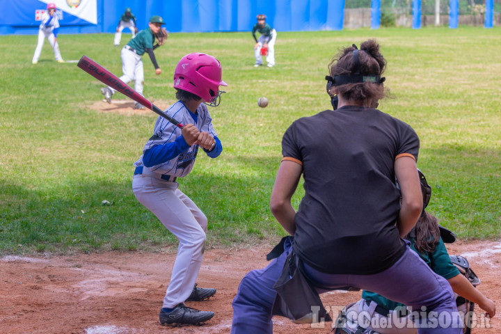 Baseball, vittorie confortanti per i giovani Blackhorses Pinerolo