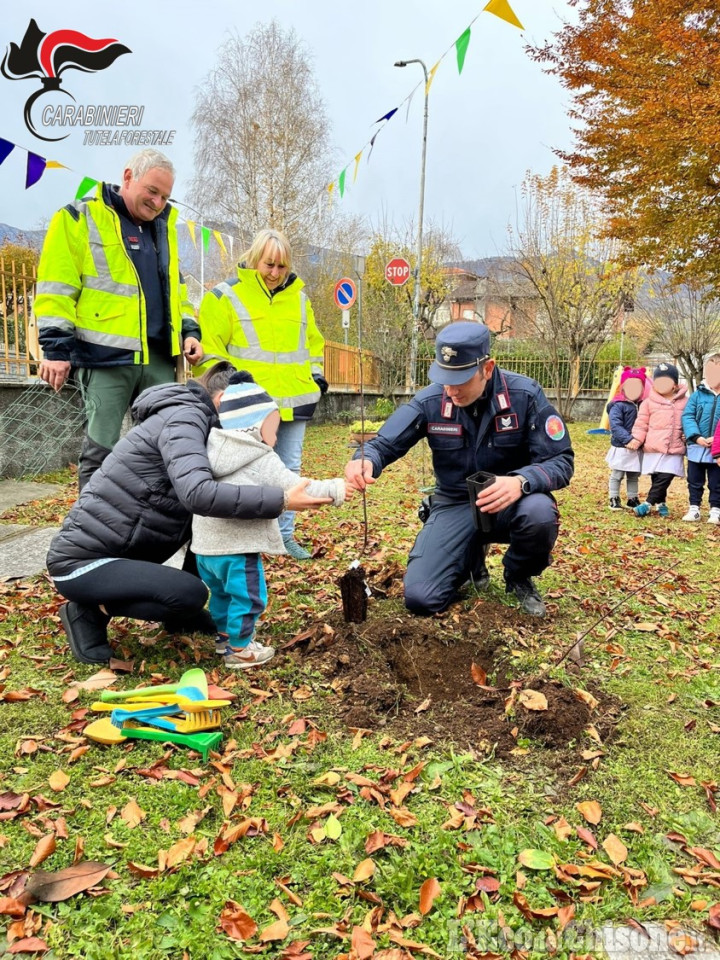 Nel cuneese scuole e carabinieri forestali celebrano la Giornata nazionale dell'albero