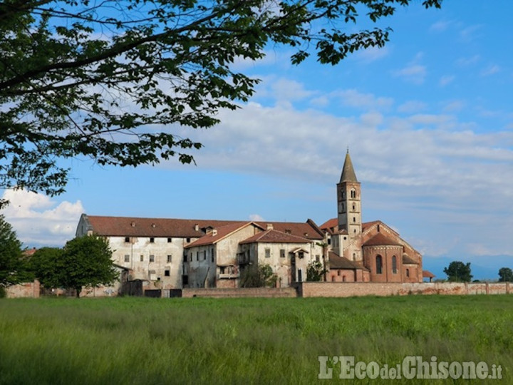 Staffarda: 1.200 pipistrelli da proteggere e un intero borgo rurale da rilanciare