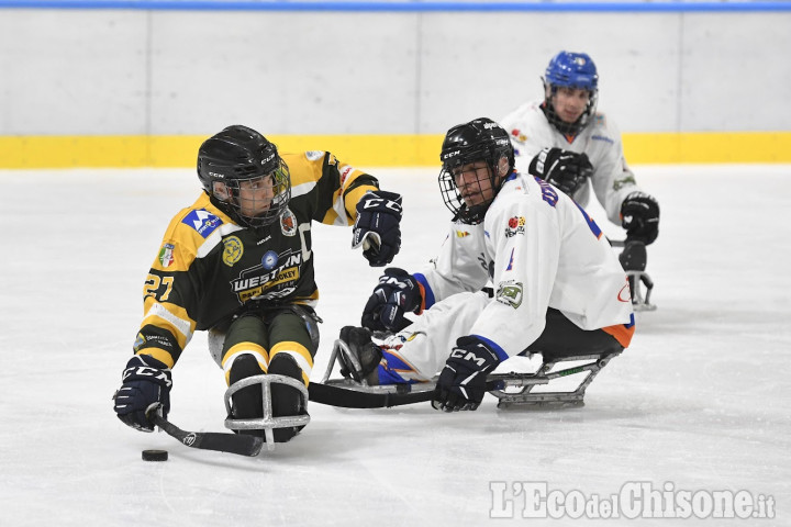 Torre Pellice, weekend di para ice hockey con due gare di campionato