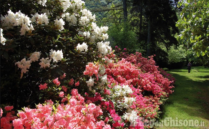 Fiera di primavera domenica 14 maggio a San Germano Chisone