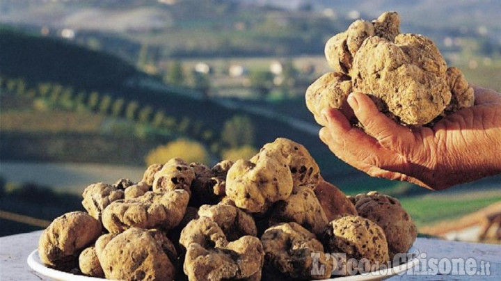 Dal 1° ottobre la “cerca” del tartufo