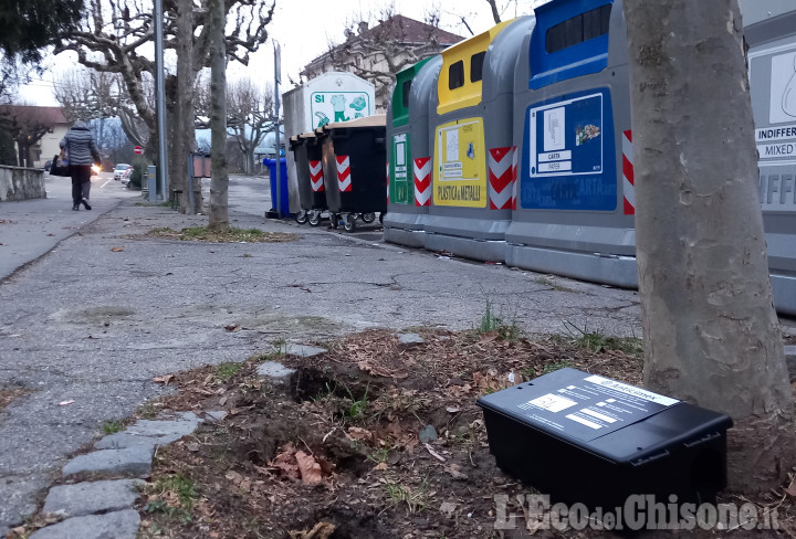 Torre Pellice, sono i topi a far discutere