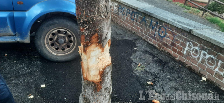 Cumiana: ancora un atto vandalico al centro Ippo, storico luogo di ritrovo giovanile