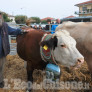 Bagnolo: un weekend di agricoltura e tradizione