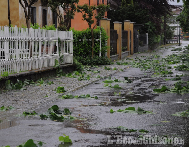 Bagnolo: forti raffiche di vento, gravi danni alle colture, disagi lungo i viali