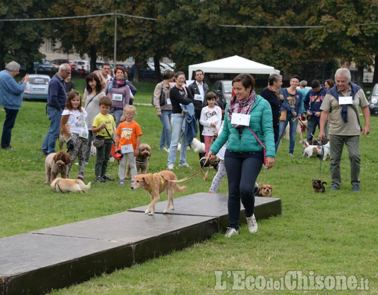 Pinerolo Animal Day