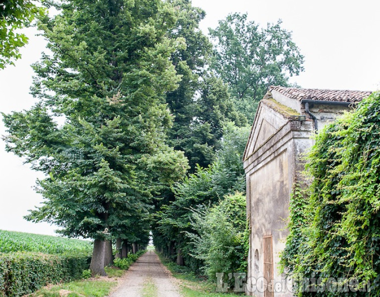 Villa La Paesana a Piobesi Torinese