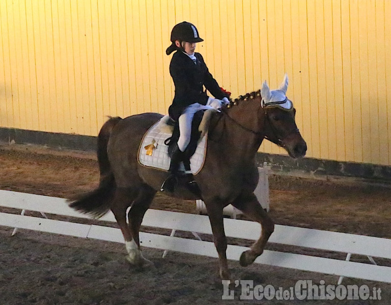 None: Dressage all&#039;Horsebridge