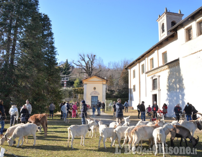 Pinerolo: al Colletto festa di San Antonio