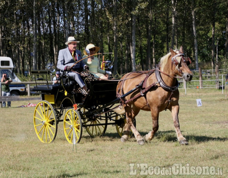 Cercenasco: Work &amp; Fun Horse&#039;s Day