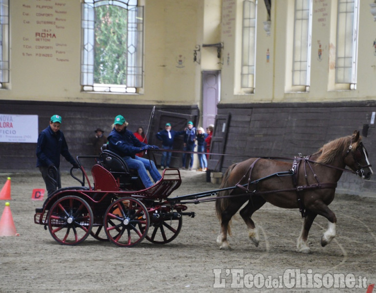 Pinerolo al Caprilli in carrozza