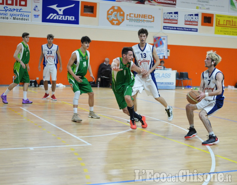  Basket : Pinerolo-Arona