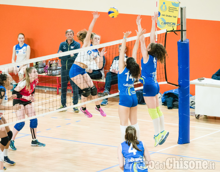 Volley: Union Under 16 in semifinale