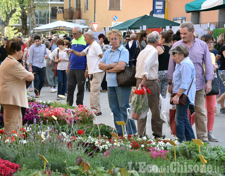 A Cumiana fiori e colori in piazza