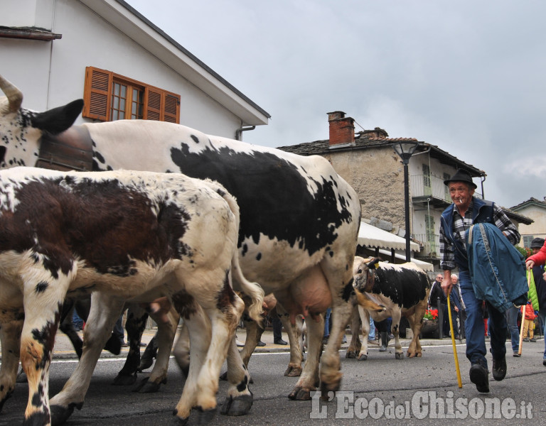  Fîra &#039;d la Pouià Bobbio Pellice