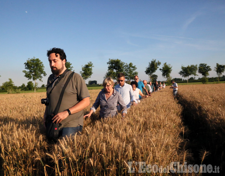 Castagnole-Virle: la conferenza sui cerchi nel grano 