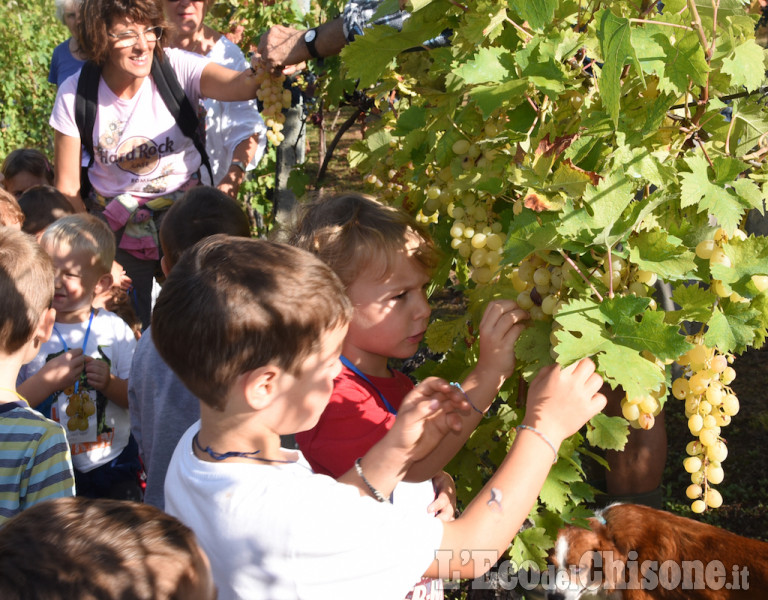  A S. Pietro la scuola dell’infanzia è all&#039;aperto 