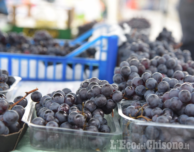 Prarostino: La festa dell&#039;Uva