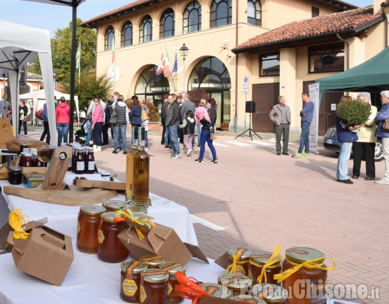 Expo Osasco,fiera commerciale e agricola 