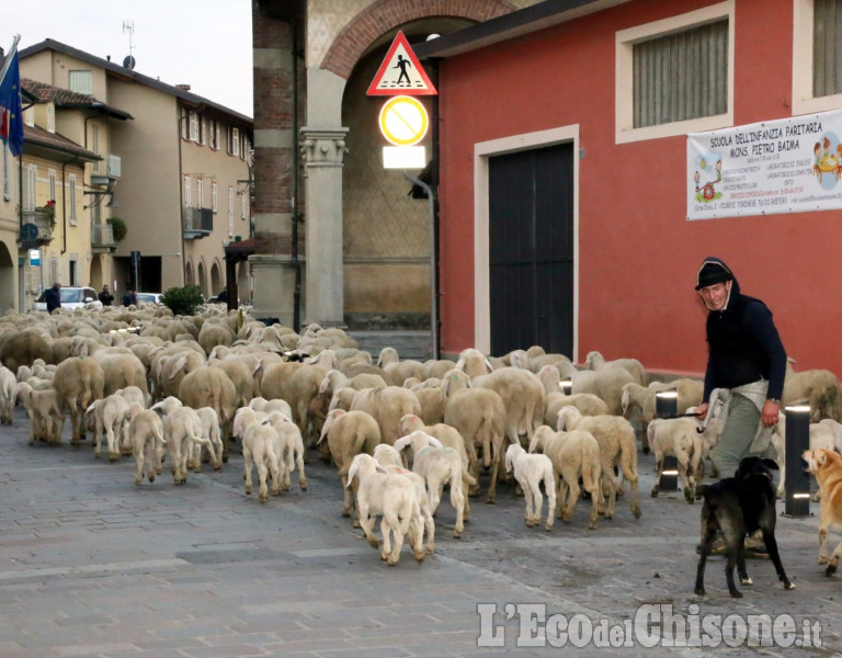 Piobesi: la fiera autunnale, con la caratteristica transumanza per le vie del paese