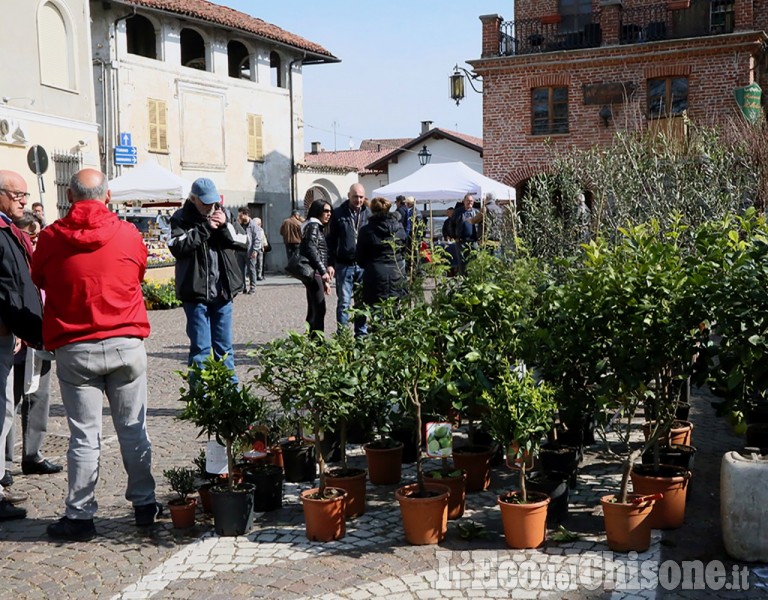 Pancalieri : Fiera vivaistica 