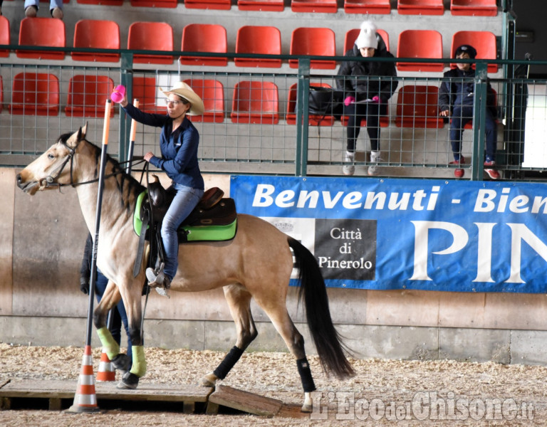 Monta western Abbadia, aspettando i salti