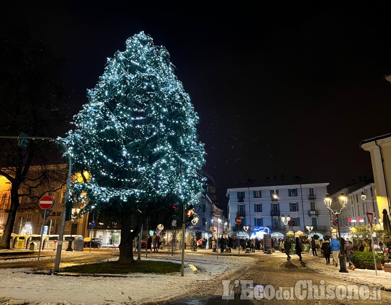 Pinerolo:Si accende l'albero in centro, con l'Immacolata iniziano le feste