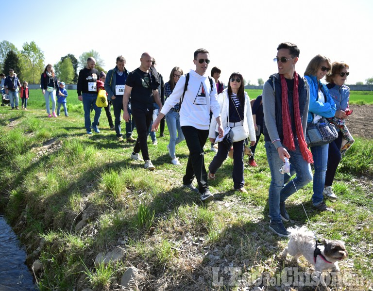 Riva di Pinerolo, Camminata benefica dei "Lions Walk"