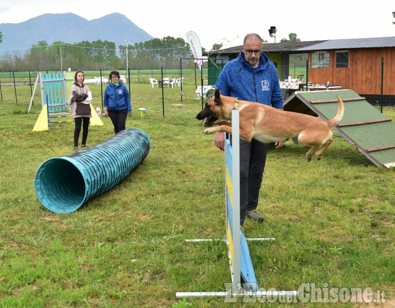 Cumiana: Giornata  in compagnia degli amici a quattro zampe,open-day "amici di Zampa"