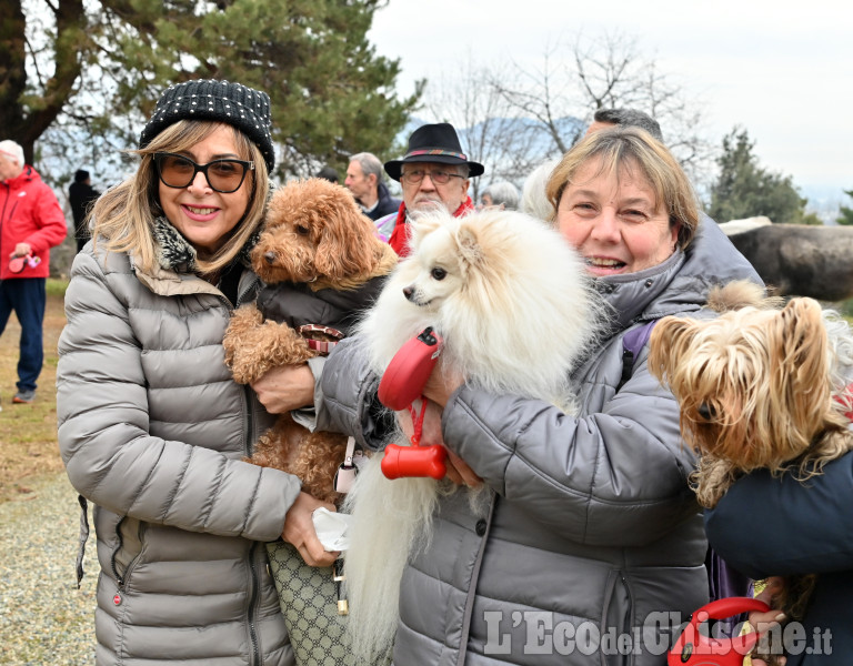 Festa di Sant'Antonio e la benedizione degli animali al Colletto